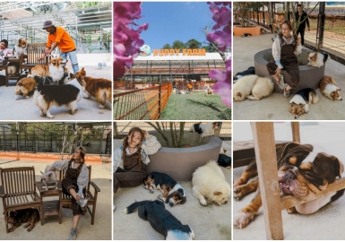 Nông trại cún Puppy Farm: Xứ sở cho người yêu cún ở Đà Lạt